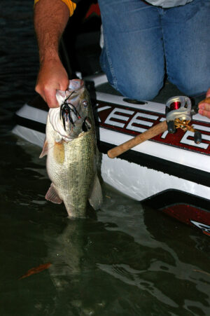 Largemouth Bass 158