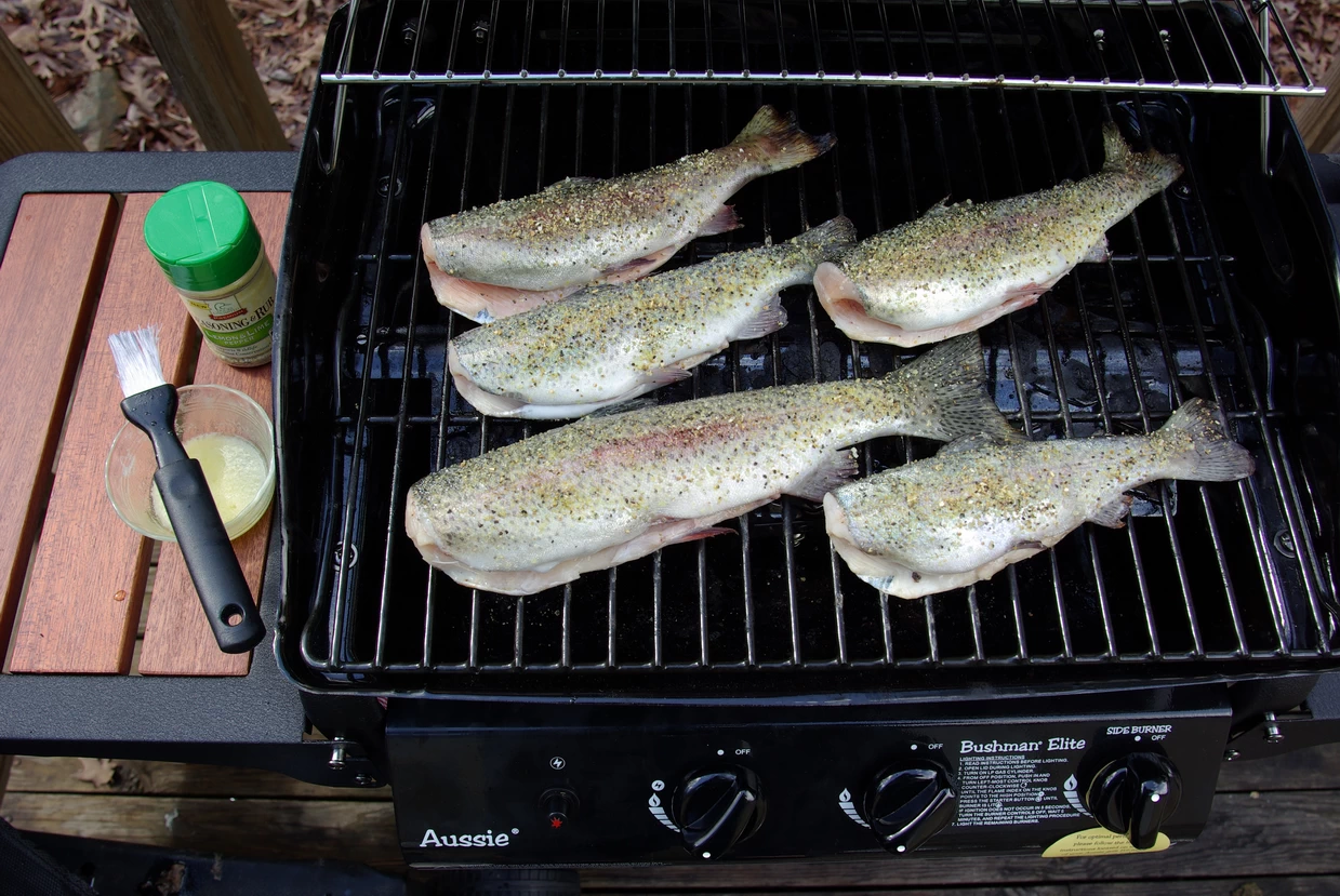 Grilled Trout