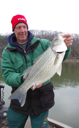 Hybrid Striper Angler