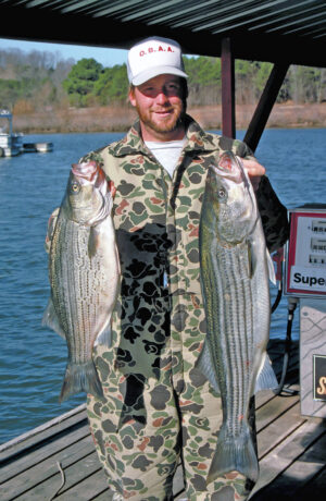 Hybrid Striper (left) Striper Comparison